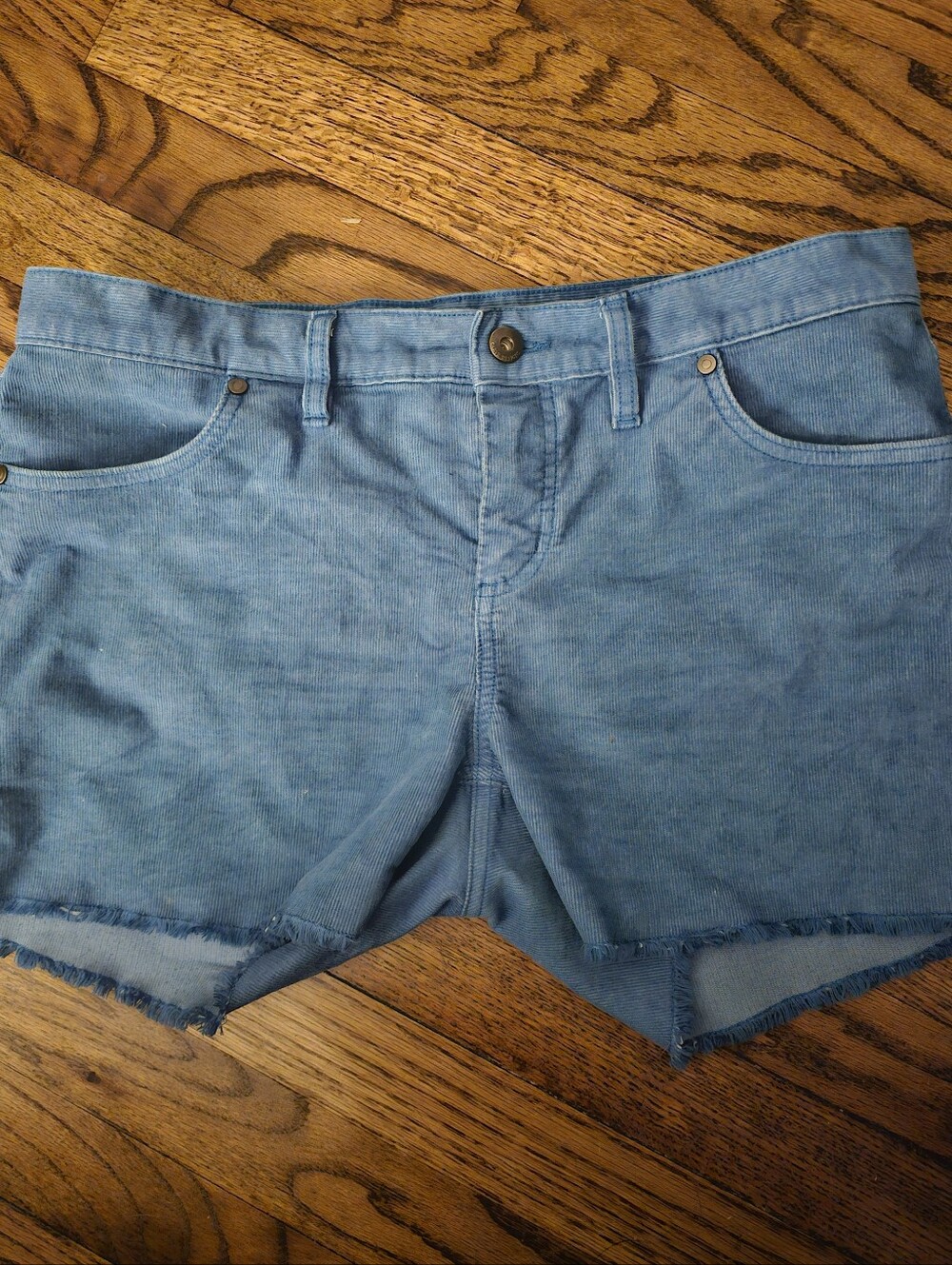 Carve Corduroy Short Sz 8